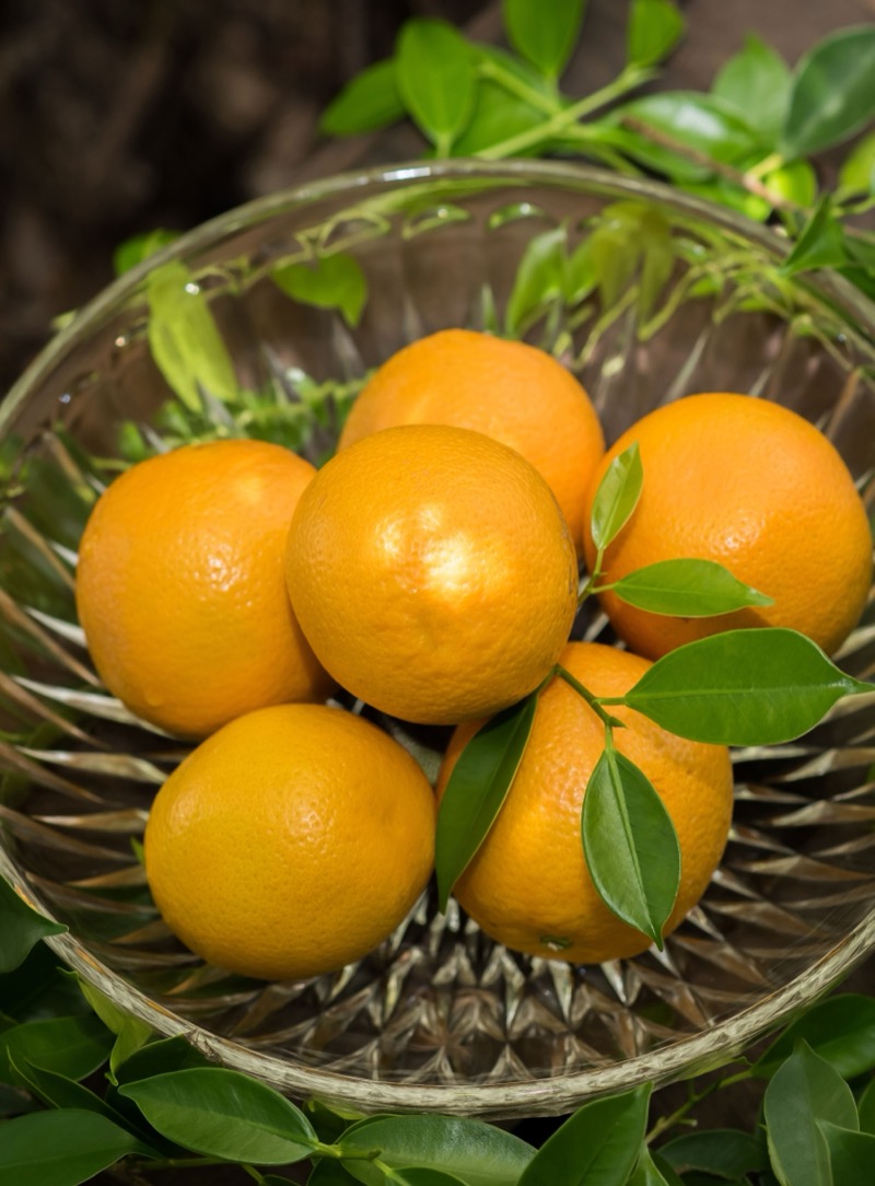 Laranja Pera Rio